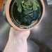Blue Mountain Pottery Canada Green and Black Coffee Pot Teapot