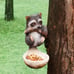 Juegoal Raccoon Bird Feeder Tree Decor O