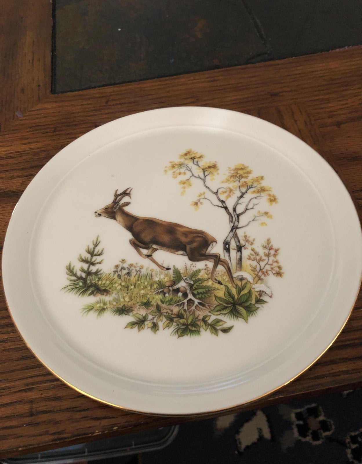 Bavarian china plates