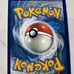Pokemon Liepard Error !