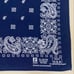 DOGTOWN Paris Co. Jay Adams USA Made Vintage Bandana 1205