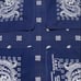 DOGTOWN Paris Co. Jay Adams USA Made Vintage Bandana 1205