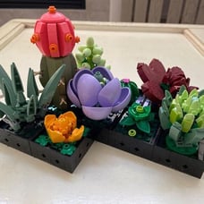 NEW Succulents Artificial Plant Set for Adults, Home Decor,