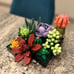 NEW Succulents Artificial Plant Set for Adults, Home Decor,