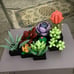 NEW Succulents Artificial Plant Set for Adults, Home Decor,