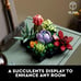 NEW Succulents Artificial Plant Set for Adults, Home Decor,