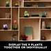NEW Succulents Artificial Plant Set for Adults, Home Decor,