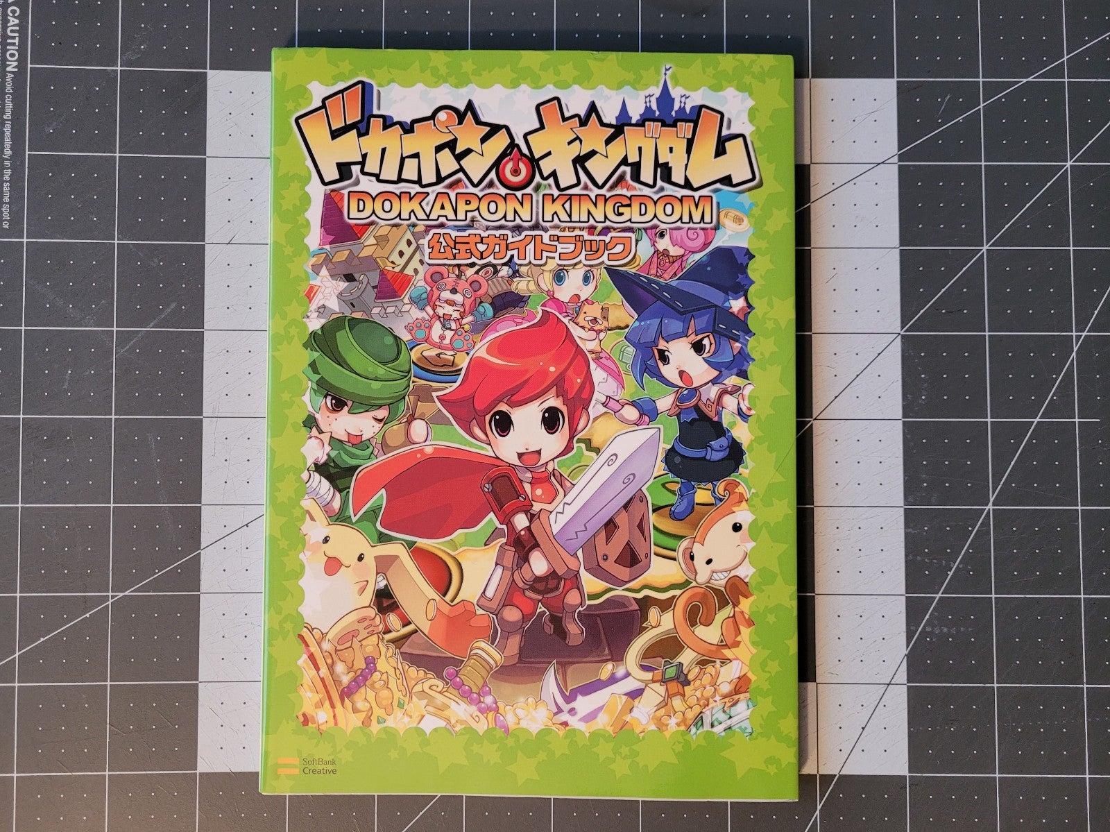 Dokapon Kingdom guide book RARE