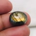 Labradorite & Rainbow Oval shape Cabochon-LRL-11-04