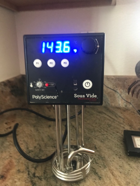 Polyscience Sous Vide Classic