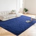 Ultra Soft Indoor Modern Area Rugs Fluffy Living Room Carpets for Home Decor