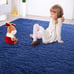 Ultra Soft Indoor Modern Area Rugs Fluffy Living Room Carpets for Home Decor