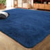 Ultra Soft Indoor Modern Area Rugs Fluffy Living Room Carpets for Home Decor