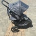 Britax B-Free Sport Stroller, Asher