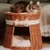 Natural round wicker cat house and small dog house, eco pet house, organic bed f