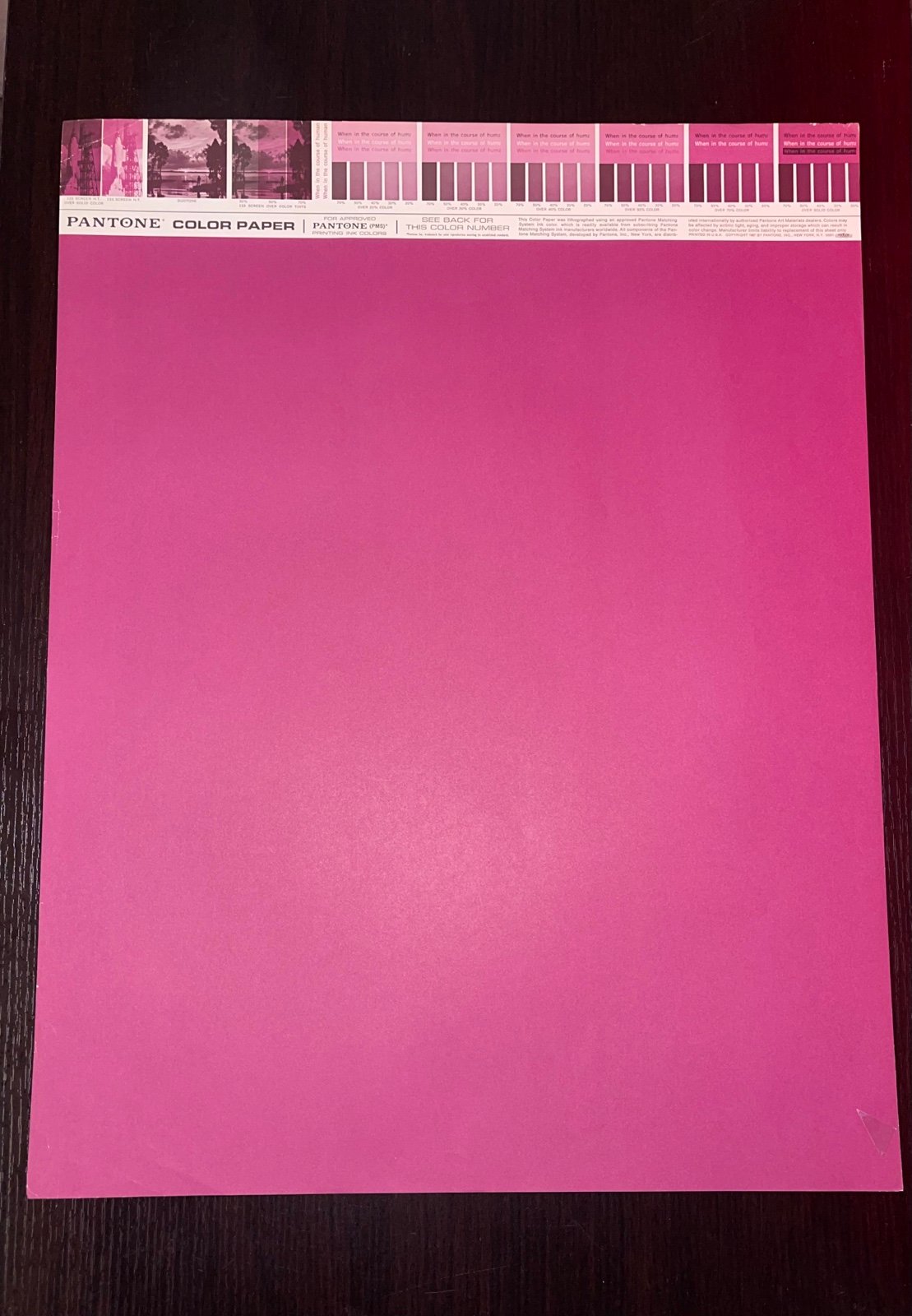 Vintage Pantone by Letraset • Letracolor Color Paper 241 • 26”x20” *RARE*