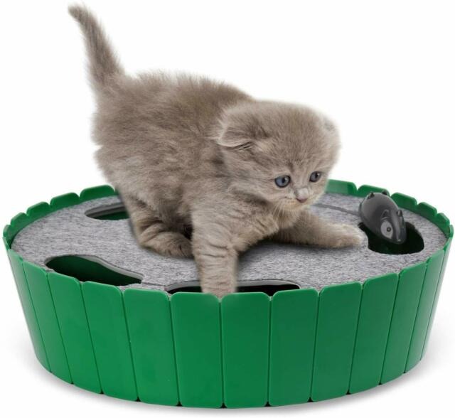 Pawaboo Cat Toy Electric Interactive Motion Play Running Mouse Hide Seek Hunting