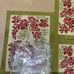 Wisteria Green & Pink Placemats, set of 5 (Retail 99)