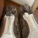 Emy Mack Leather Snake Reptile Print Rhines Bow Pumps Heels