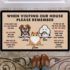 When Visiting Our House Dog And Cat Doormat Personalized Pet Doormat Cute Custom
