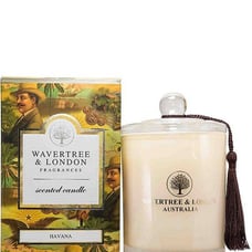 Wavertree & London Havana Candle,Size: 11.6 OZ