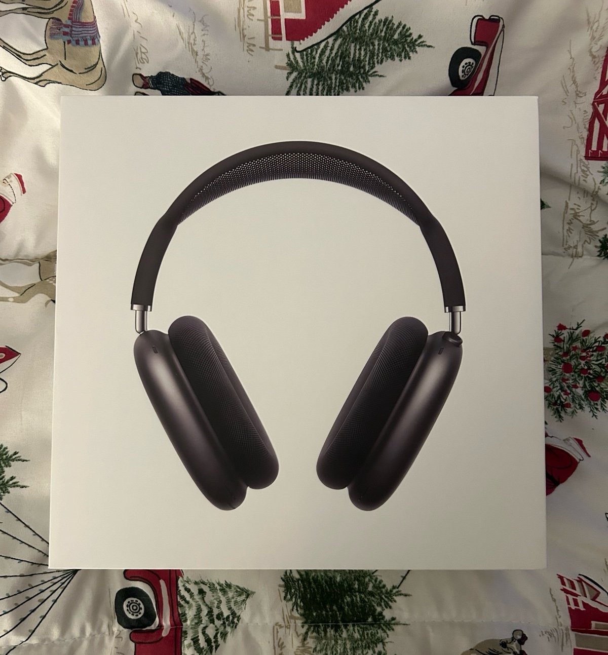 AirPods Max