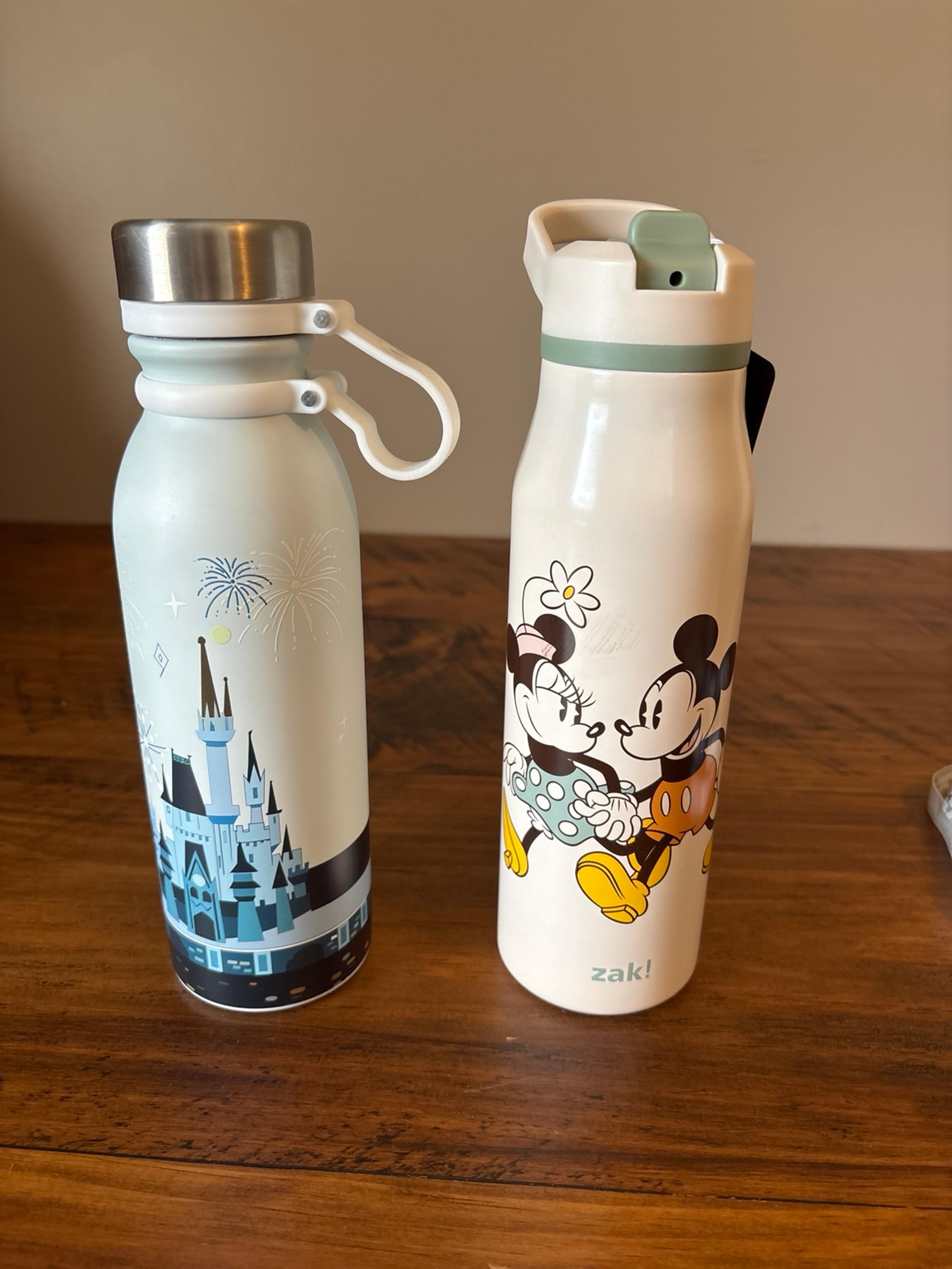 2 Disney Stainless Steel Water Bottles