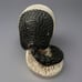 Vintage✨Chalkware Armadillo Coin Bank, Lone Star, Made In Mexico, Minor Flaws