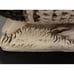 Vintage✨Chalkware Armadillo Coin Bank, Lone Star, Made In Mexico, Minor Flaws