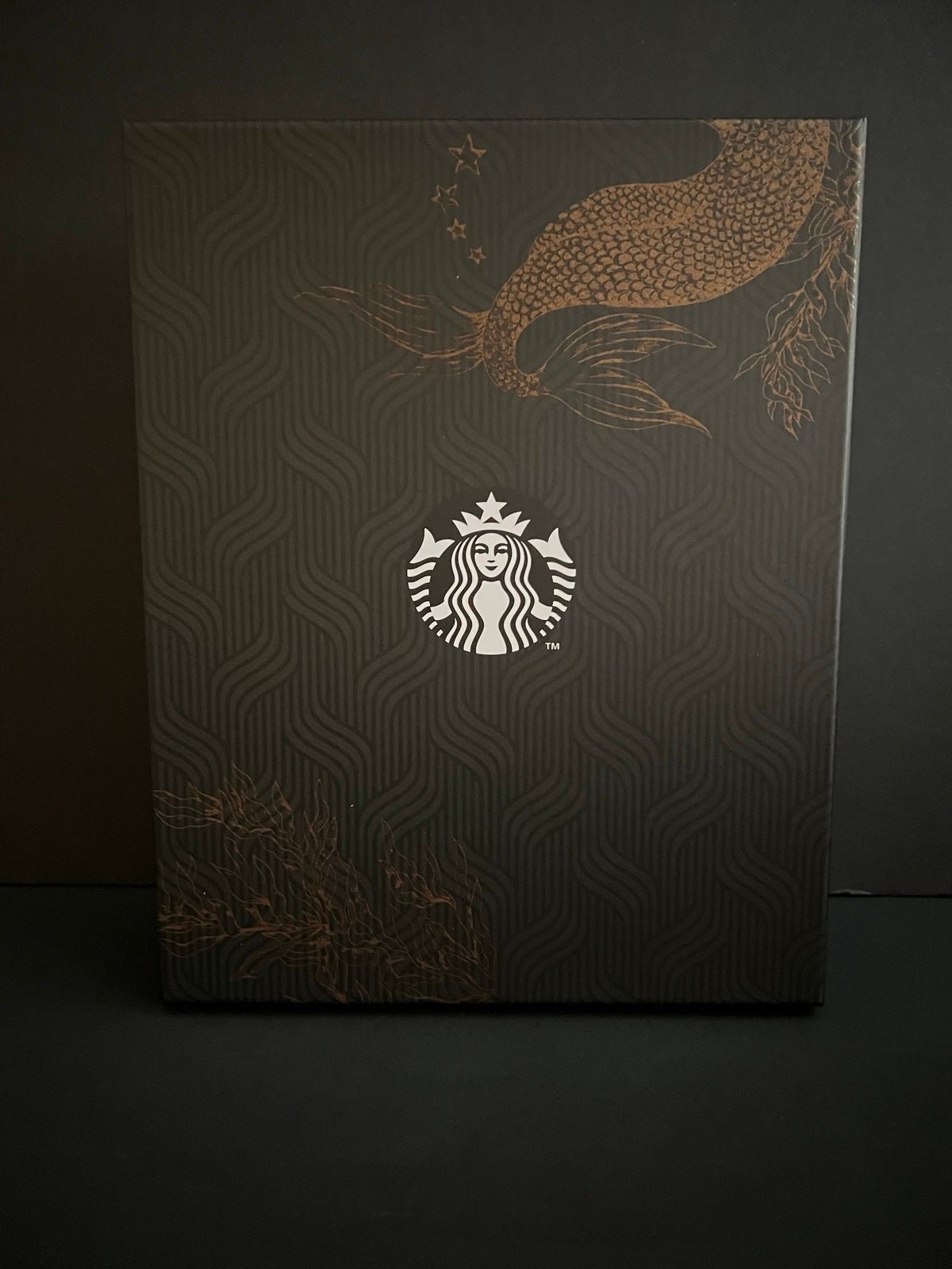 Starbucks Planner 2024 V2