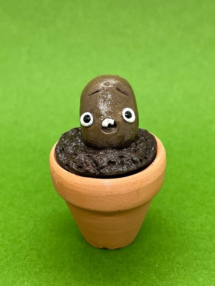 Funny patato with teeth mini plant sculpture| kawaii, polymer clay, funny face