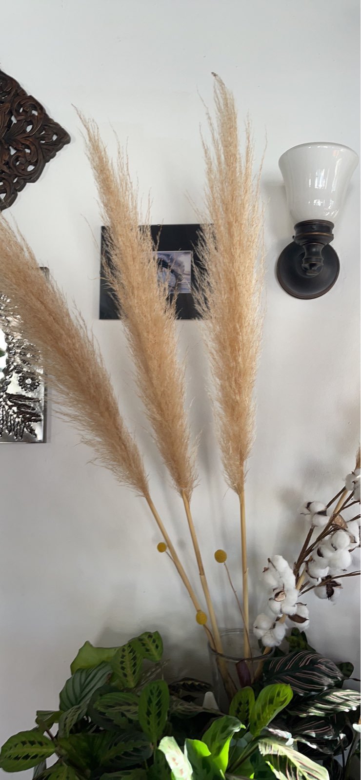 Pampass grass decor