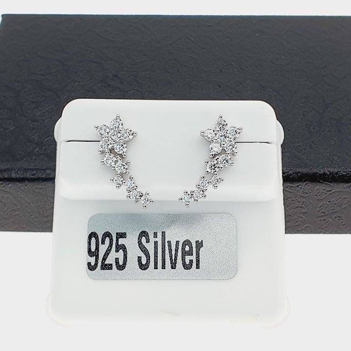 925 sterling silver luxury CZ earrings for women/girls, Best for gift, RJUS2231