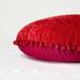 60 x80 Decorative Bed Throw and Pillow Set Red - Opalhouse designed with
