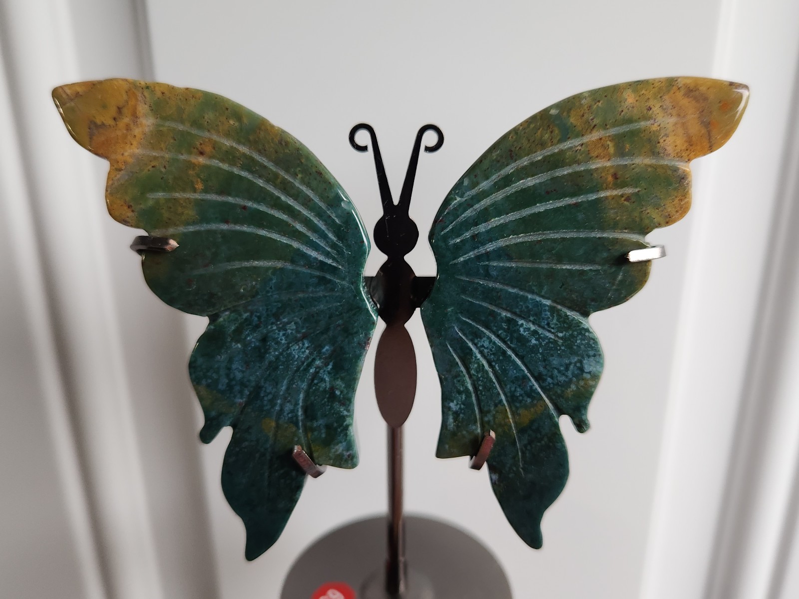 Ocean Jasper Butterfly Wings