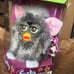 Gray Furby Brown eyes
