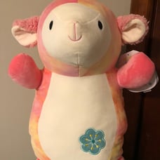 Yus Squishmallow HugMees
