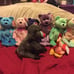 Ty Beanie Original Baby