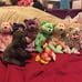 Ty Beanie Original Baby