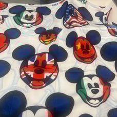 Disney’s Epcot Center Mickey Mouse Beach Towel One Mouse One World Collectible