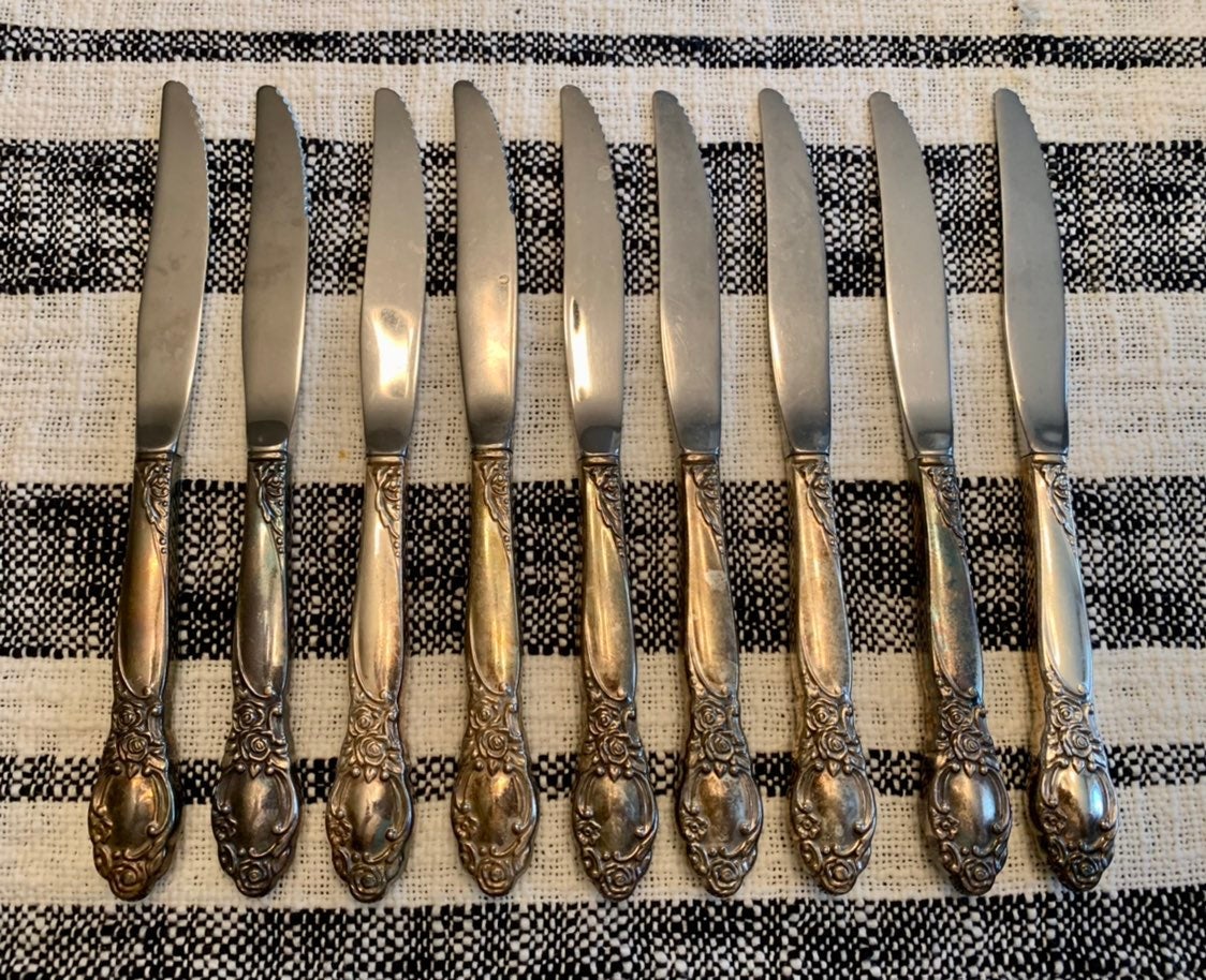 Oneida Silversmiths Country Lane flatware