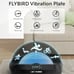 FLYBIRD Vibration Plate Oscillation Two Types Vibration Platform