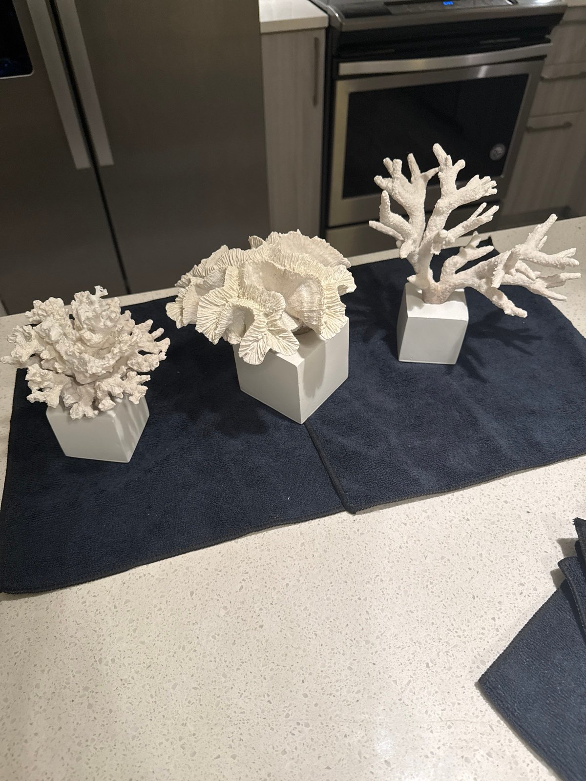 Live coral statues on marble stands