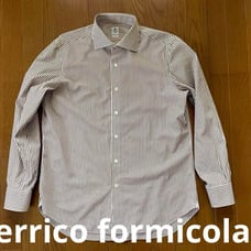 Errico Formicola, brown with stripes.