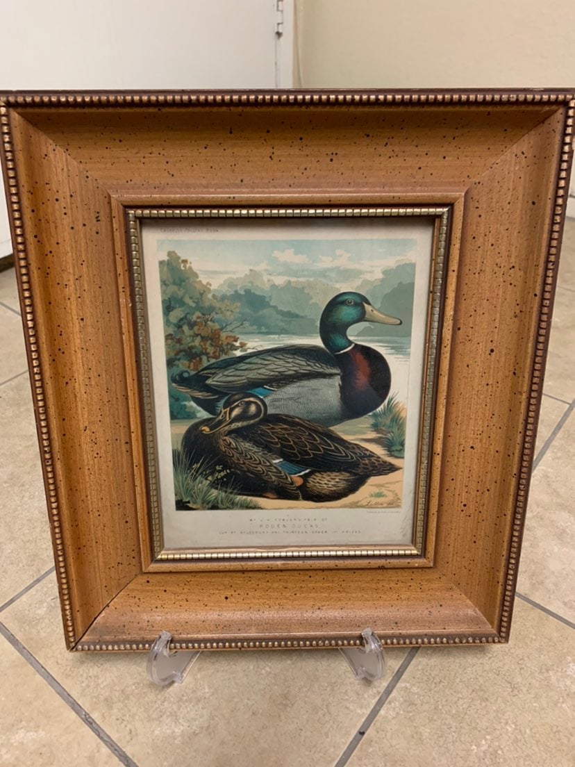 J.K. Fowlers framed with glass