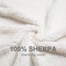 Christmas Sherpa Fleece Throw Blanket, Super Soft Warm Buffalo Plaid 50 x60