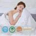 Goose Duck Down Comforter Queen