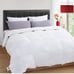 Goose Duck Down Comforter Queen