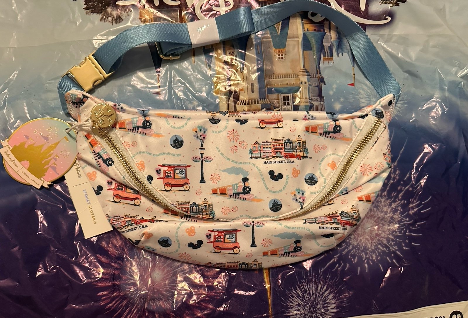 Disney Parks- Stoney Clover Lane Main Street Parks Print - Jumbo Fanny