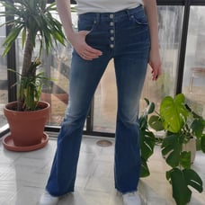 Hudson high waisted flared jeans